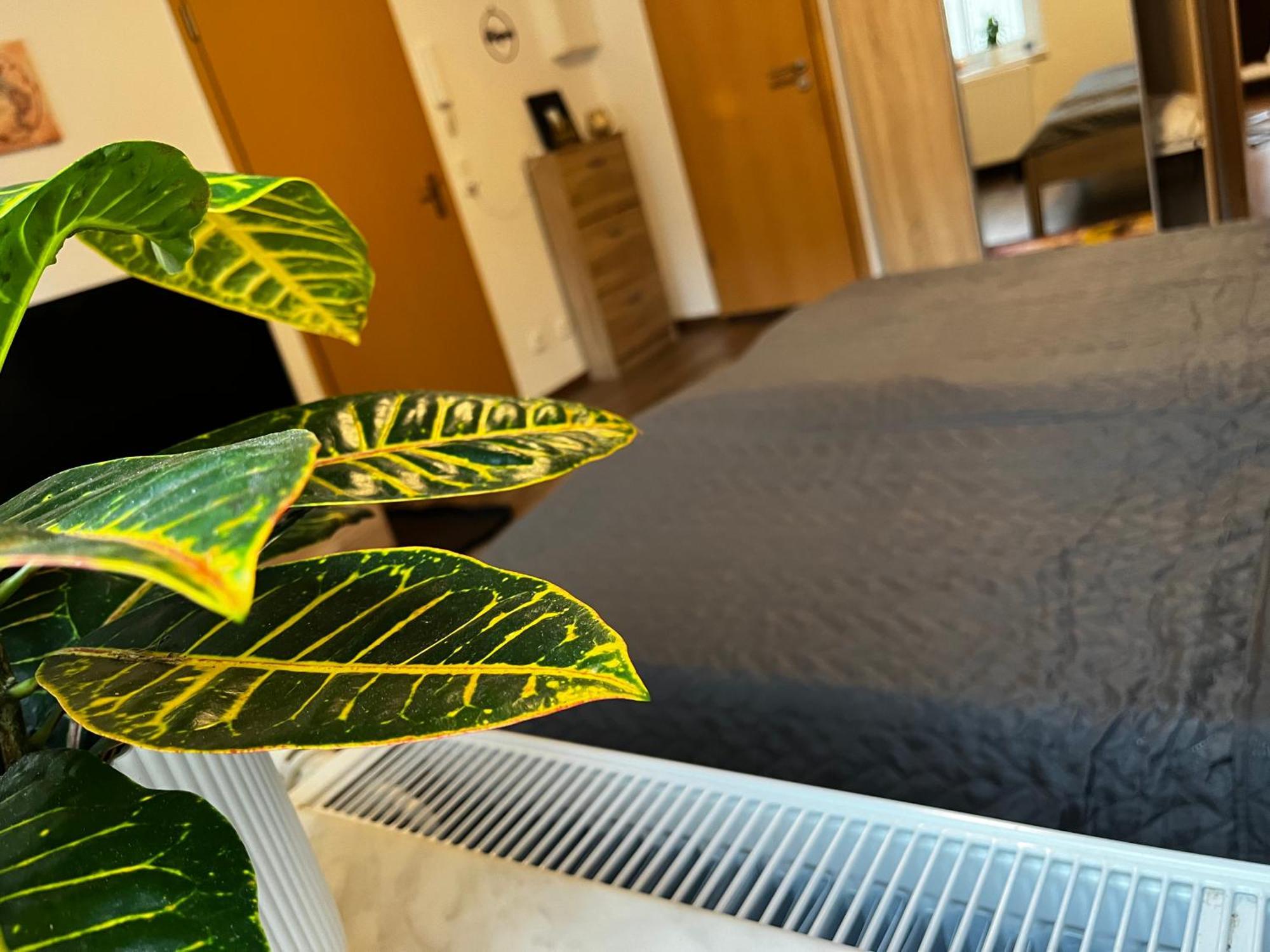 Apartament Karli'S Plaetzchen Gera Zewnętrze zdjęcie